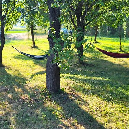 Cristel Casuta Fara Ganduri Hotel Mesentea Buitenkant foto