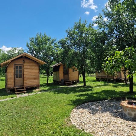 Cristel Casuta Fara Ganduri Hotel Mesentea Buitenkant foto