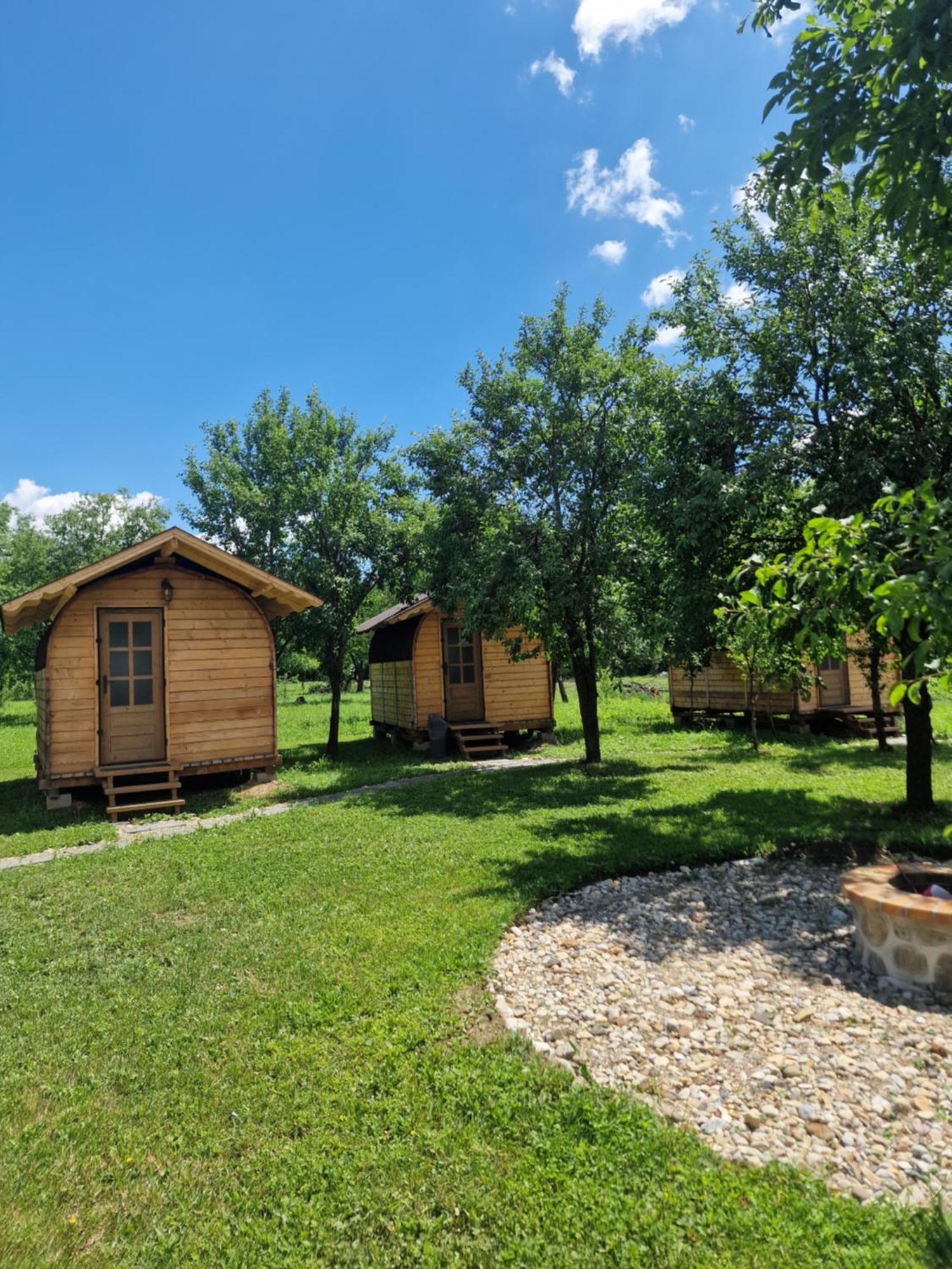 Cristel Casuta Fara Ganduri Hotel Mesentea Buitenkant foto